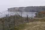 [3]